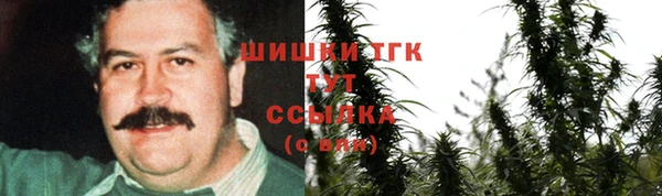 экстази Гусев
