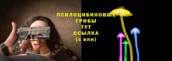 соль ск Гусиноозёрск