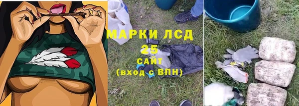 экстази Гусев