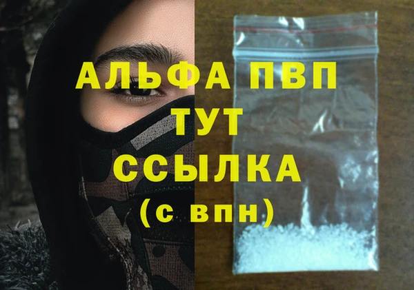 соль ск Гусиноозёрск