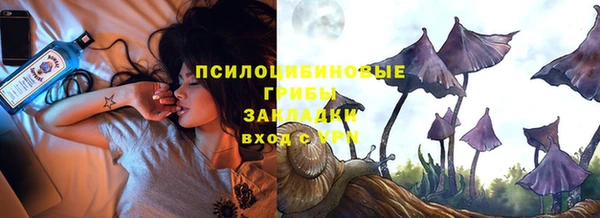 2c-b Гусь-Хрустальный