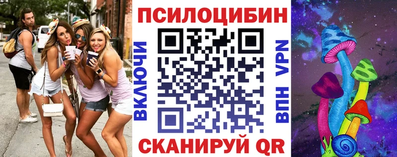 закладка  Звенигород  Псилоцибиновые грибы Magic Shrooms 