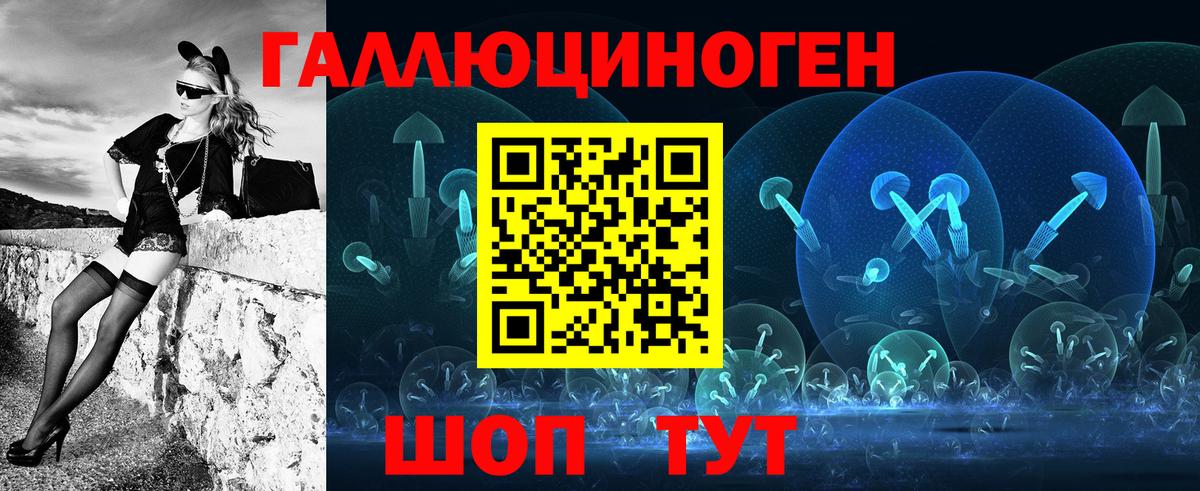Галлюциногенные грибы MAGIC MUSHROOMS  Вход с VPN  Звенигород 