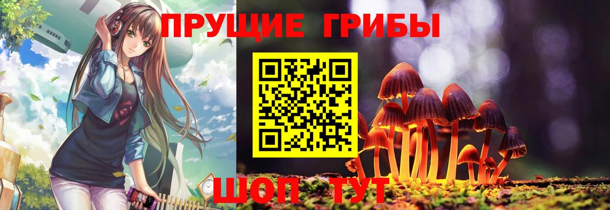 Псилоцибиновые грибы Magic Shrooms Звенигород